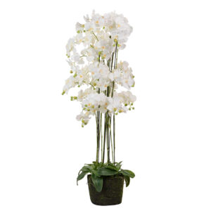 Orquidea poliéster blanca 70x70x155 cm