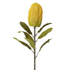 Flor protea poliéster amarilla 20x20x66 cm