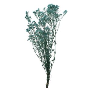 Flores preservadas azules 22x12x55 cm