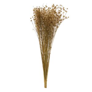 Flores preservadas naturales 25x12x55 cm
