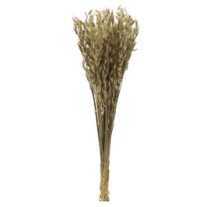 Flores trigo preservadas naturales 25x12x55 cm