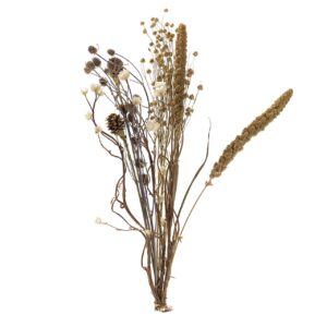Bouquet flores silverestres preservadas 26x15x43 cm