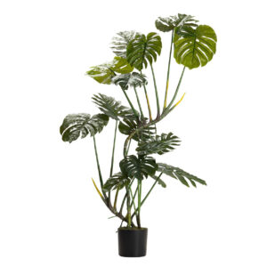 Planta monstera 110x70x155 cm
