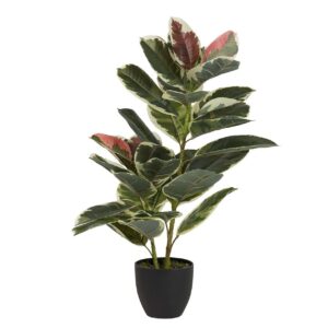 Planta dieffenbachia maculata 50x50x85 cm