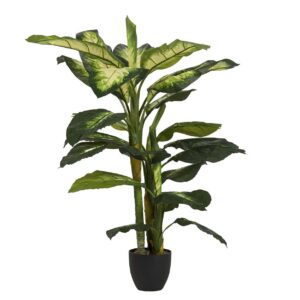 Planta dieffenbachia dotied con maceta 55x55x130 cm