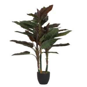 Planta cordyline con maceta 80x80x110 cm