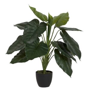 Planta taro con maceta 60x60x75 cm