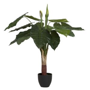 Planta taro con maceta 95x95x120 cm