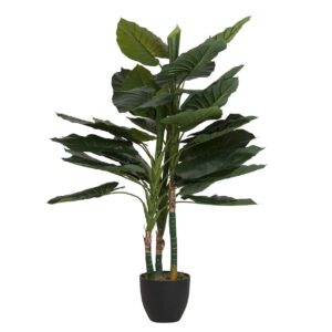 Planta taro con maceta 80x80x133 cm