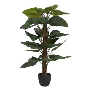 Planta taro con maceta 65x65x120 cm