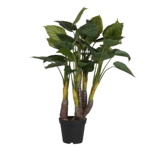 Planta taro con maceta 55x55x125 cm