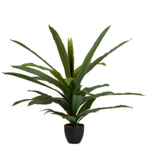 Planta dracaena fragrans con maceta 130x40x21 cm