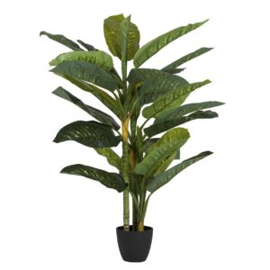 Planta dieffenbachia amoena con maceta 65x65x135 cm