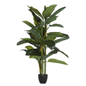 Planta dieffenbachia amoena con maceta 70x70x160 cm