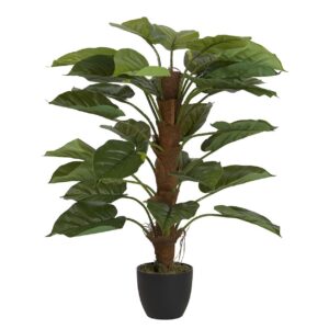 Planta rhadhidophora aureum con maceta 50x50x73 cm