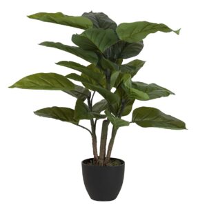 Planta aureum con maceta 65x65x88 cm