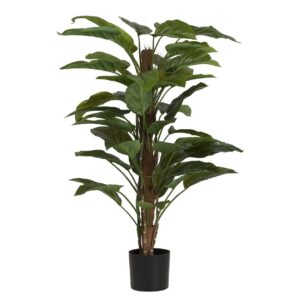 Planta aureum con maceta 60x60x130 cm