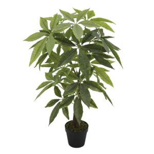 Planta money con maceta 45x45x85 cm