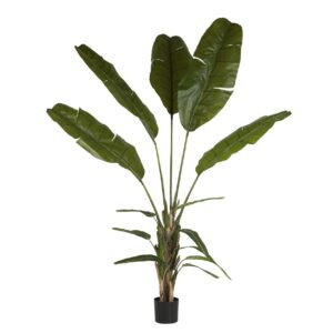 Planta palma del viajero con maceta 90x90x250 cm