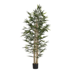 Planta bamboo con maceta 80x80x192 cm