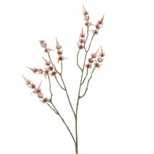 Rama paniculata rosa h. 87 cm