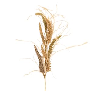 Rama espiga natural h. 65 cm